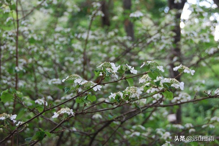 植物科学活动,第二十届公众科学日合肥