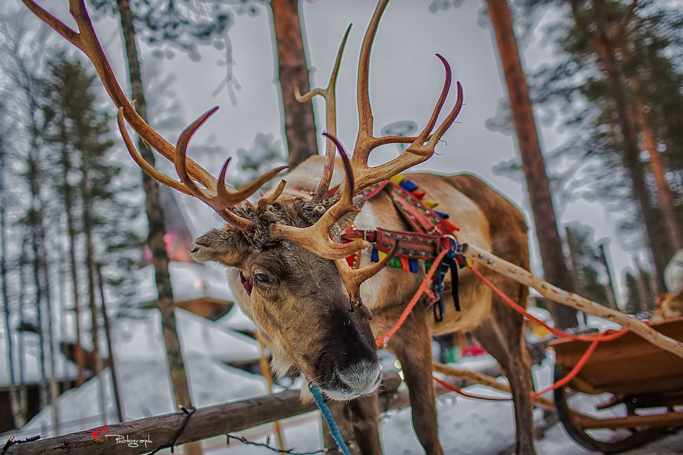 果小姐的日常,果小姐的慢生活