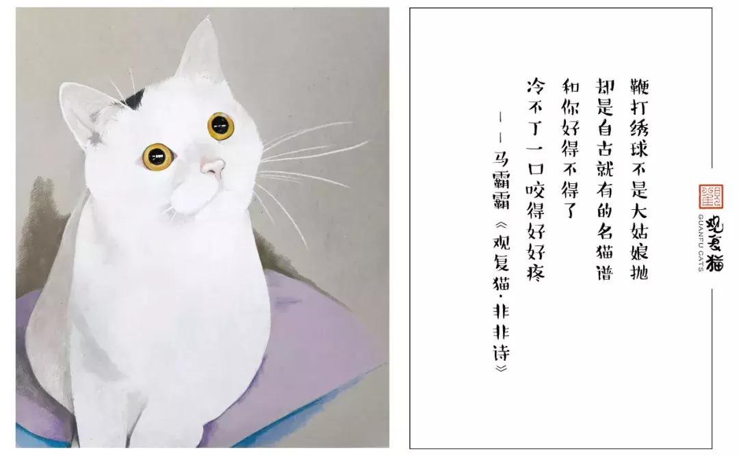 妙笔生猫：羊驼是个啥，比我好看吗？