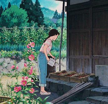 马蹄莲的种植方法,马蹄莲的种植指南