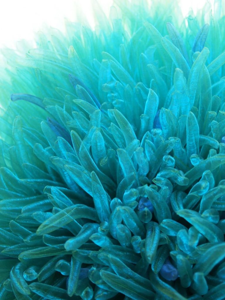 以布料纤维创作出梦幻世界：日本艺术家MarikoKusumoto