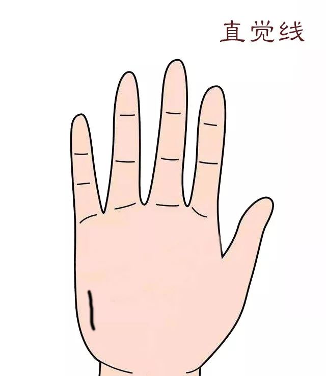 《三机论手》手掌上代表一个人运势的纹理，你都认识吗？