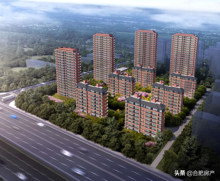 合肥性价比最高的小学学区房,合肥市十大中小学开学时间