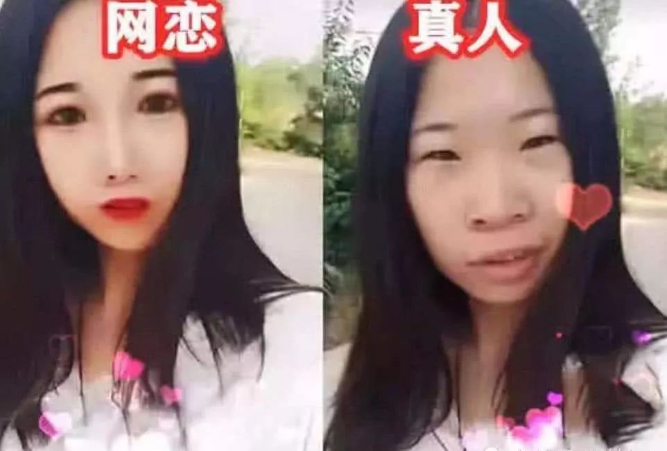 进口猫粮造假窝点,进口宠物粮被查