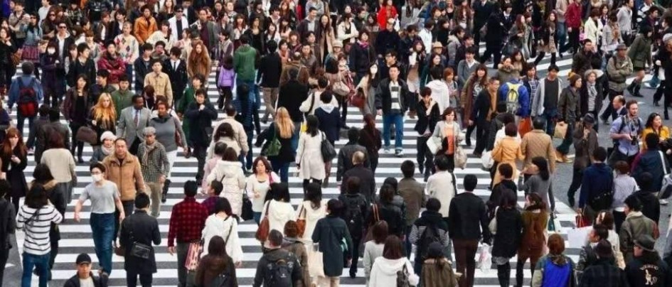 英语二考研参考书推荐,考研英语参考书大评测及常见问题