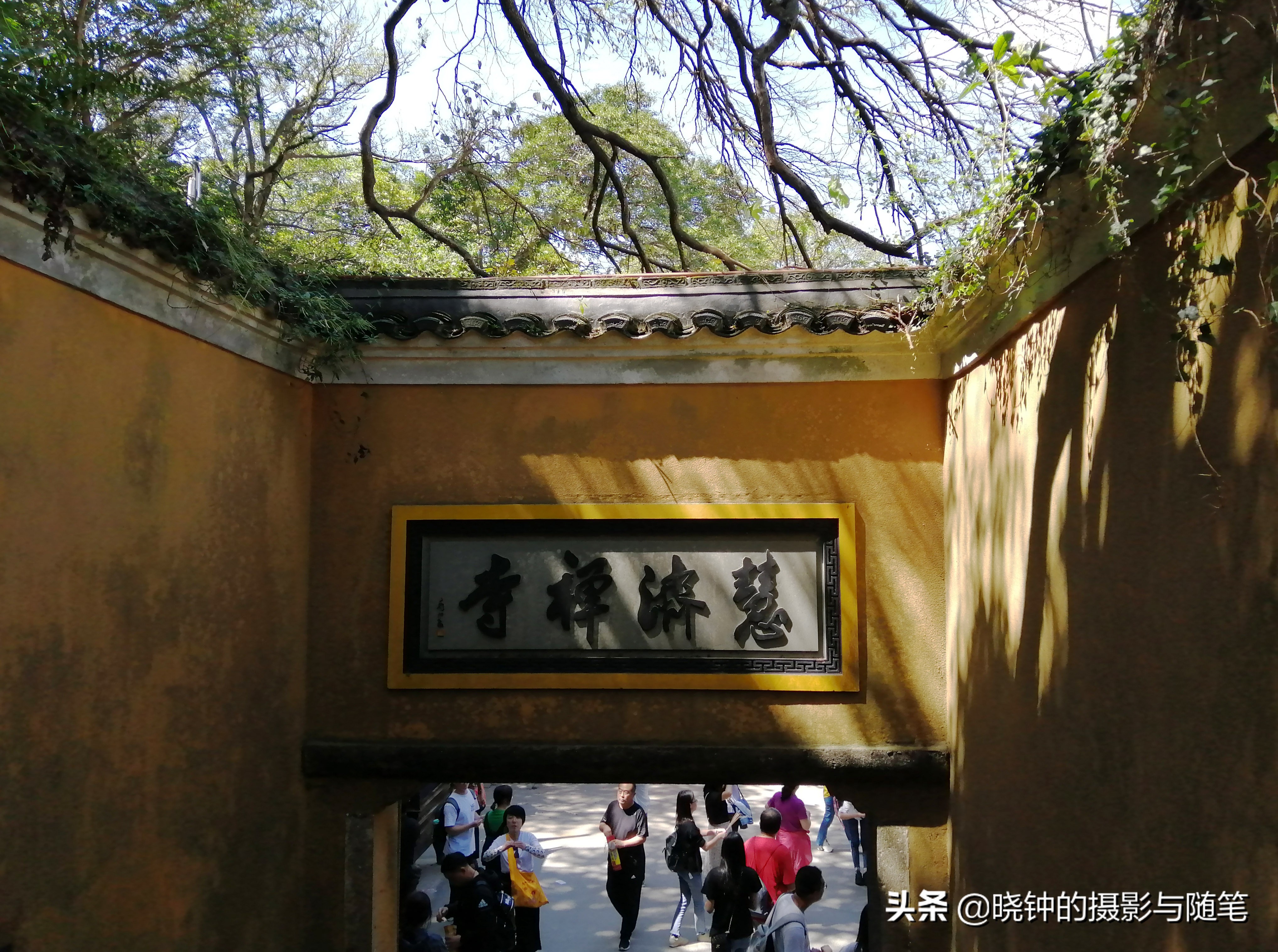 普陀山佛顶山有什么,普陀山佛顶山有必要上去吗