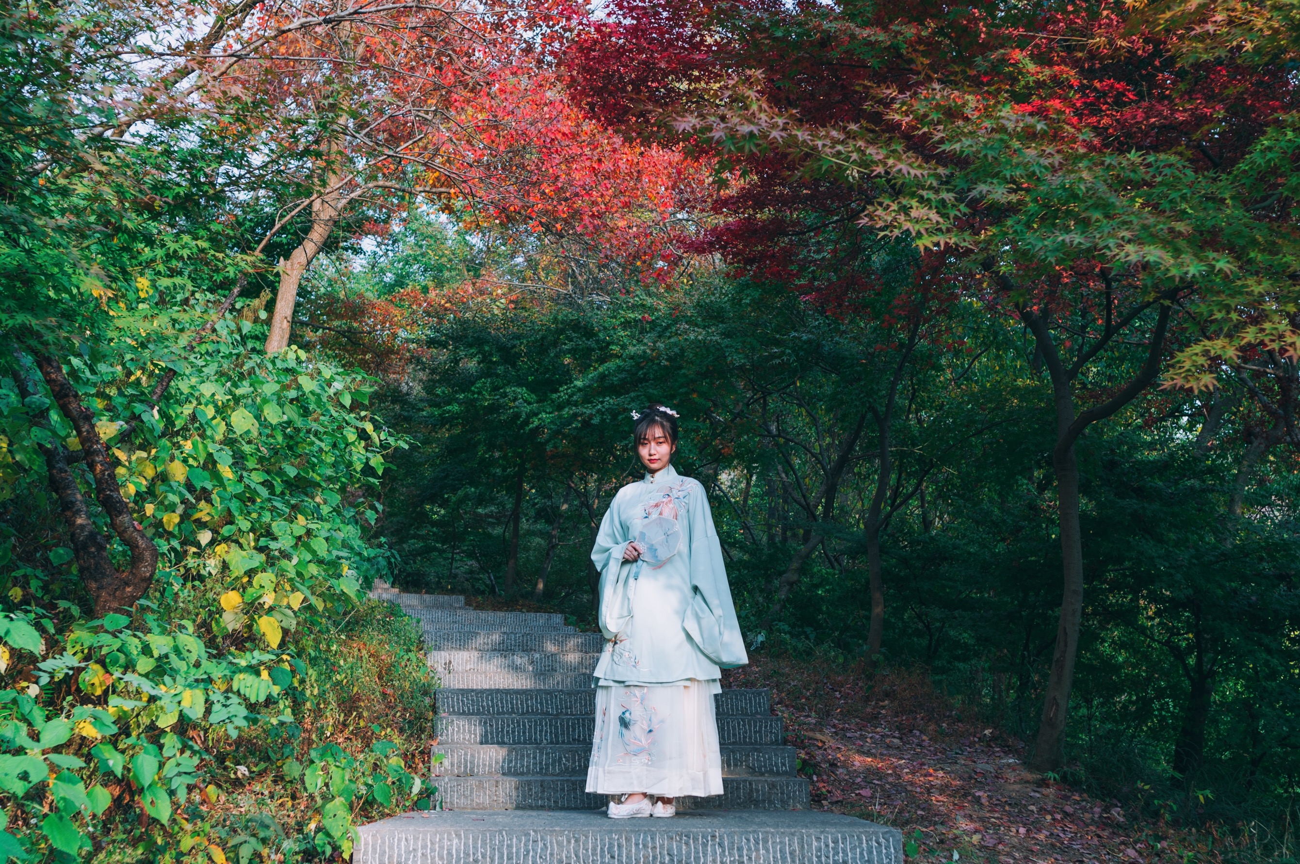 中国四大赏枫胜地南京栖霞山,南京栖霞山进入旅游赏枫季