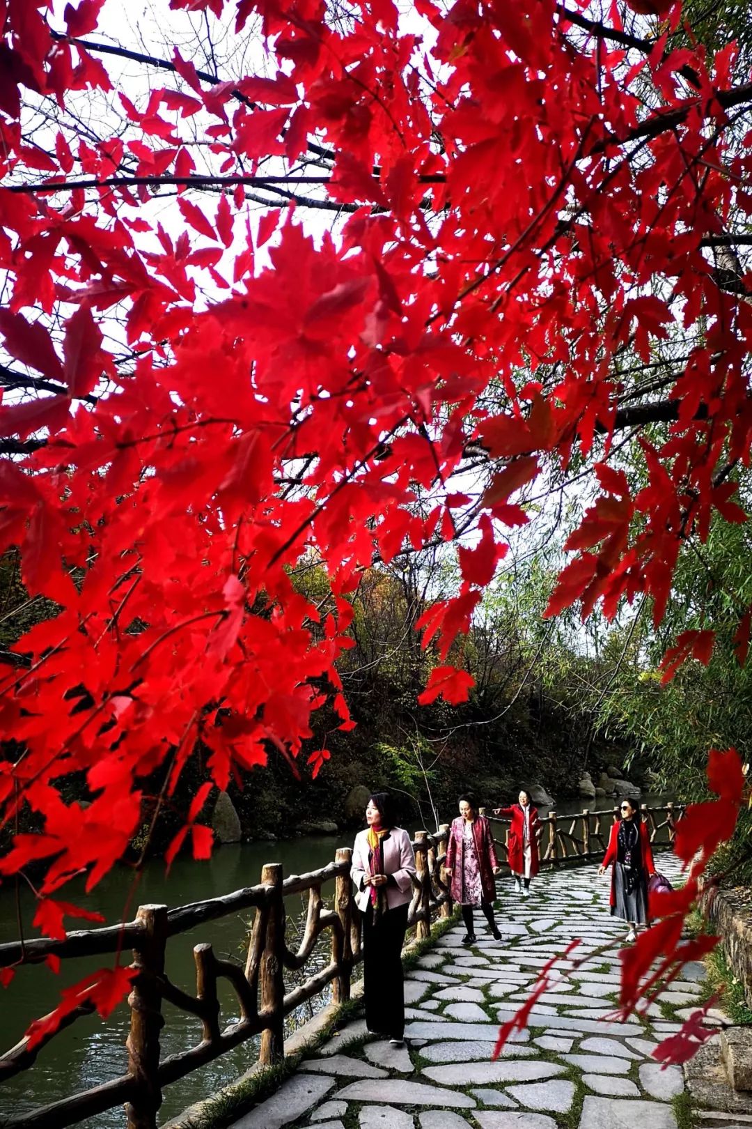 西泰山的特点是什么,西泰山为啥叫西泰山