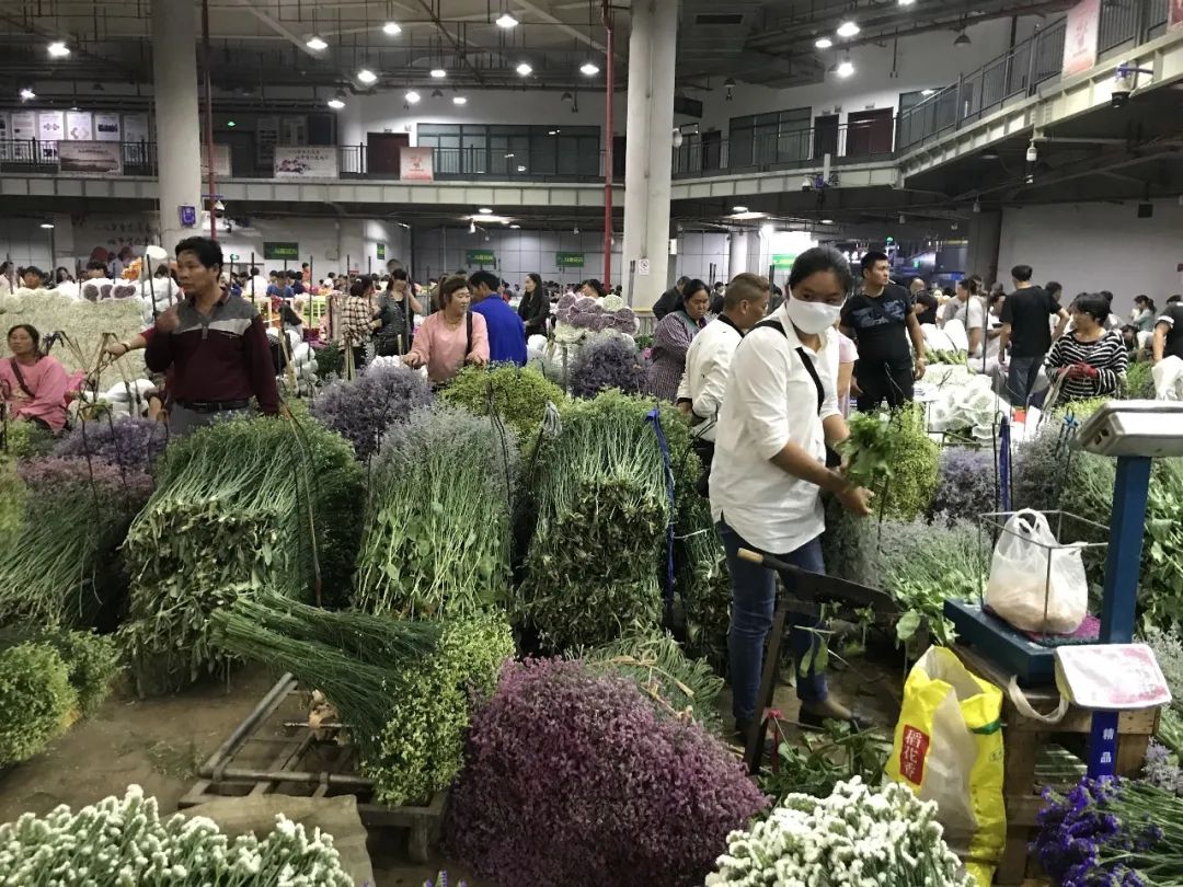 花店鲜花价格表大全,花店鲜花种类及价格表