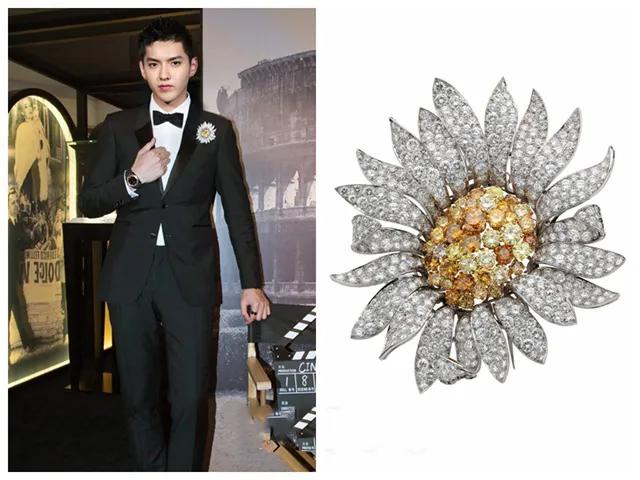 英国女王戴胸针,英国女王佩戴的胸针