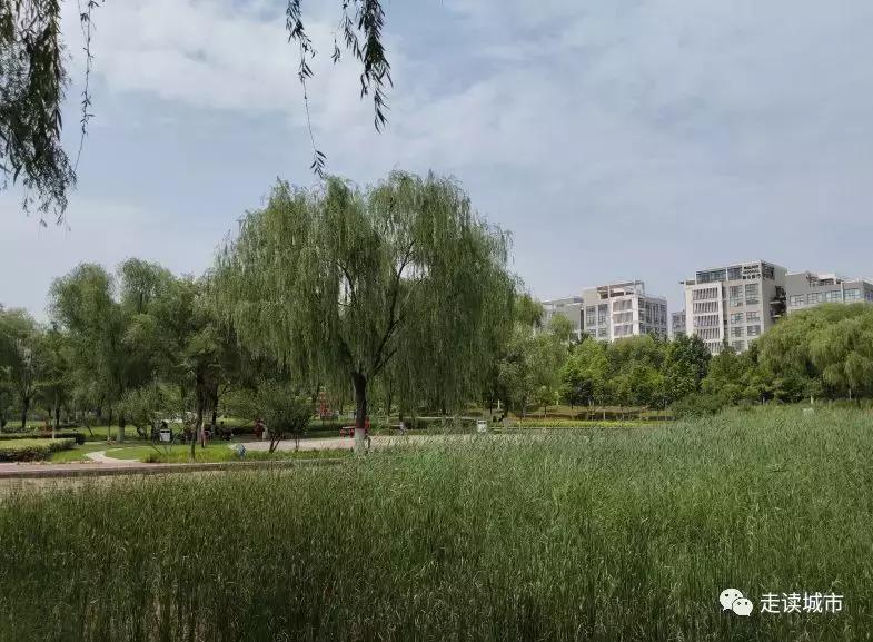 郑州高新区走读小学,走读地理郑州