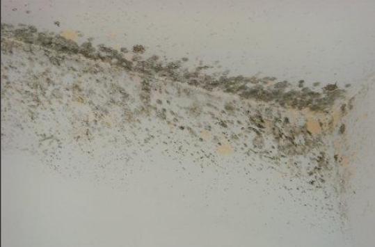 房屋管道漏水怎么处理最新方法,房屋水管漏水找漏水点最先进手段