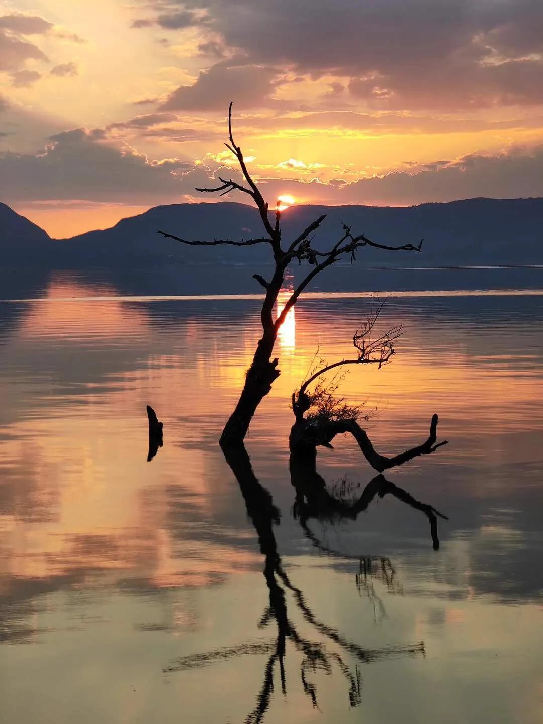 手拍世界-2021年09月各周最佳作品专集（总第716期）