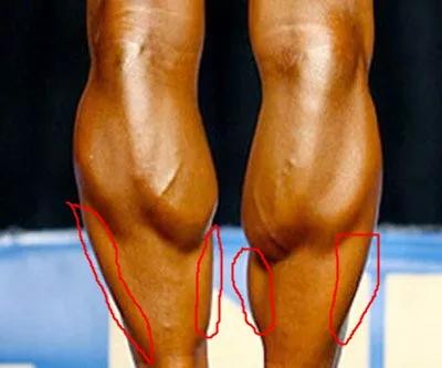 比目鱼肌训练会瘦小腿吗,怎么锻炼比目鱼肌瘦小腿