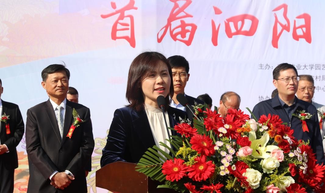 开封通许39届菊花文化节开幕式,2022年开封菊花文化节开幕式