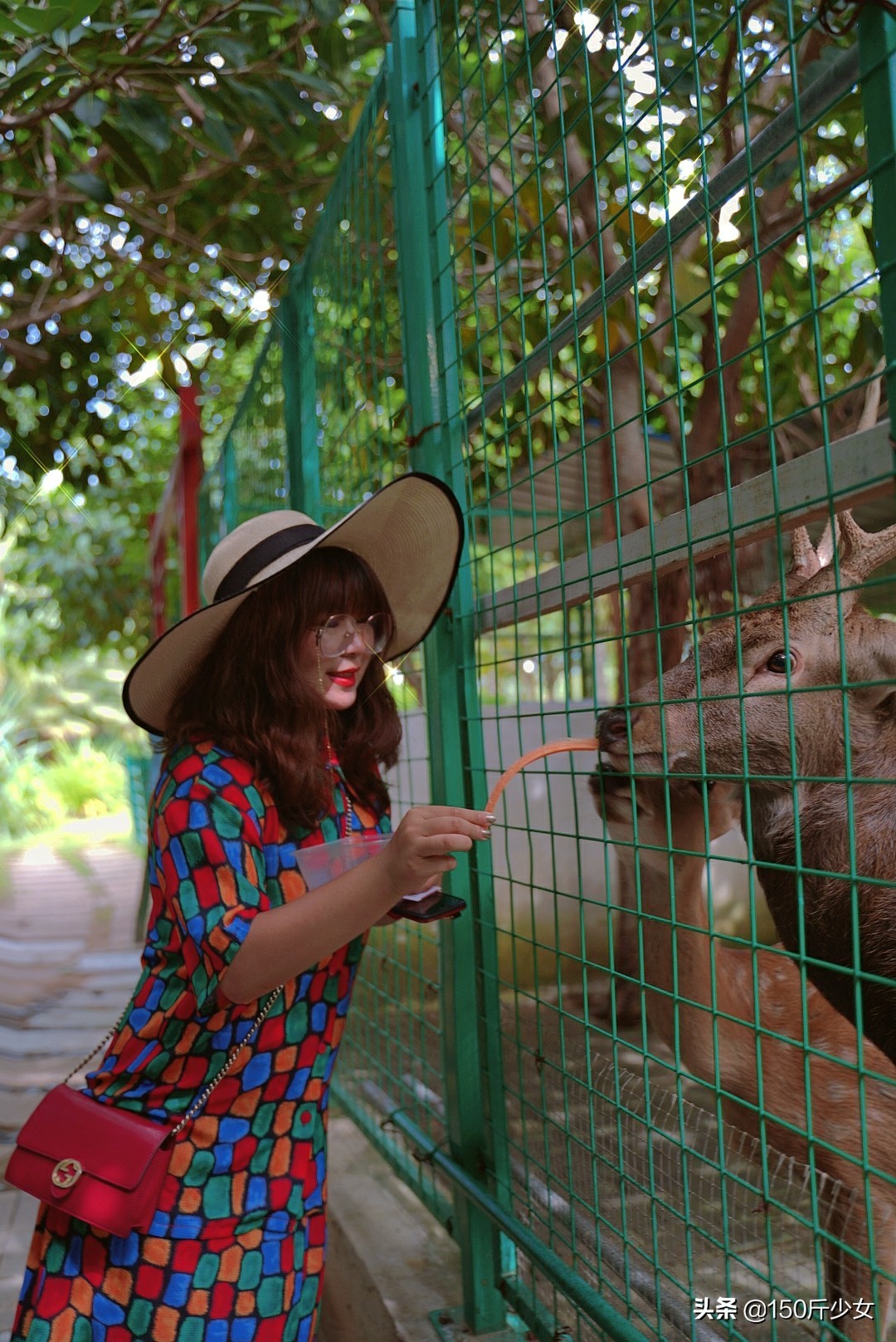 想念三亚的阳光和沙滩海浪,三亚期盼已久的大海