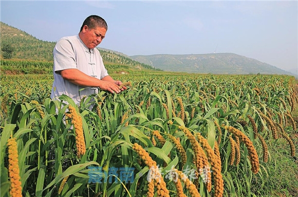 一碗米粉勾起了我的回忆,幸福的味道米粉