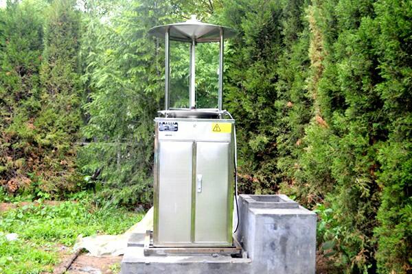 杨树如何防止虫害,杨树螨类虫害怎么治疗