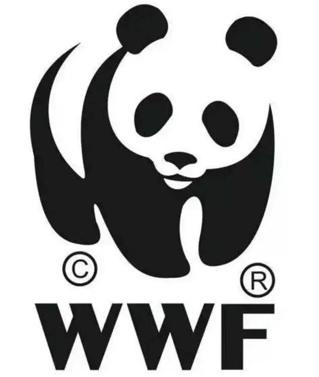 中国有没有比熊猫更可爱的动物,十一种比熊猫还濒危的动物