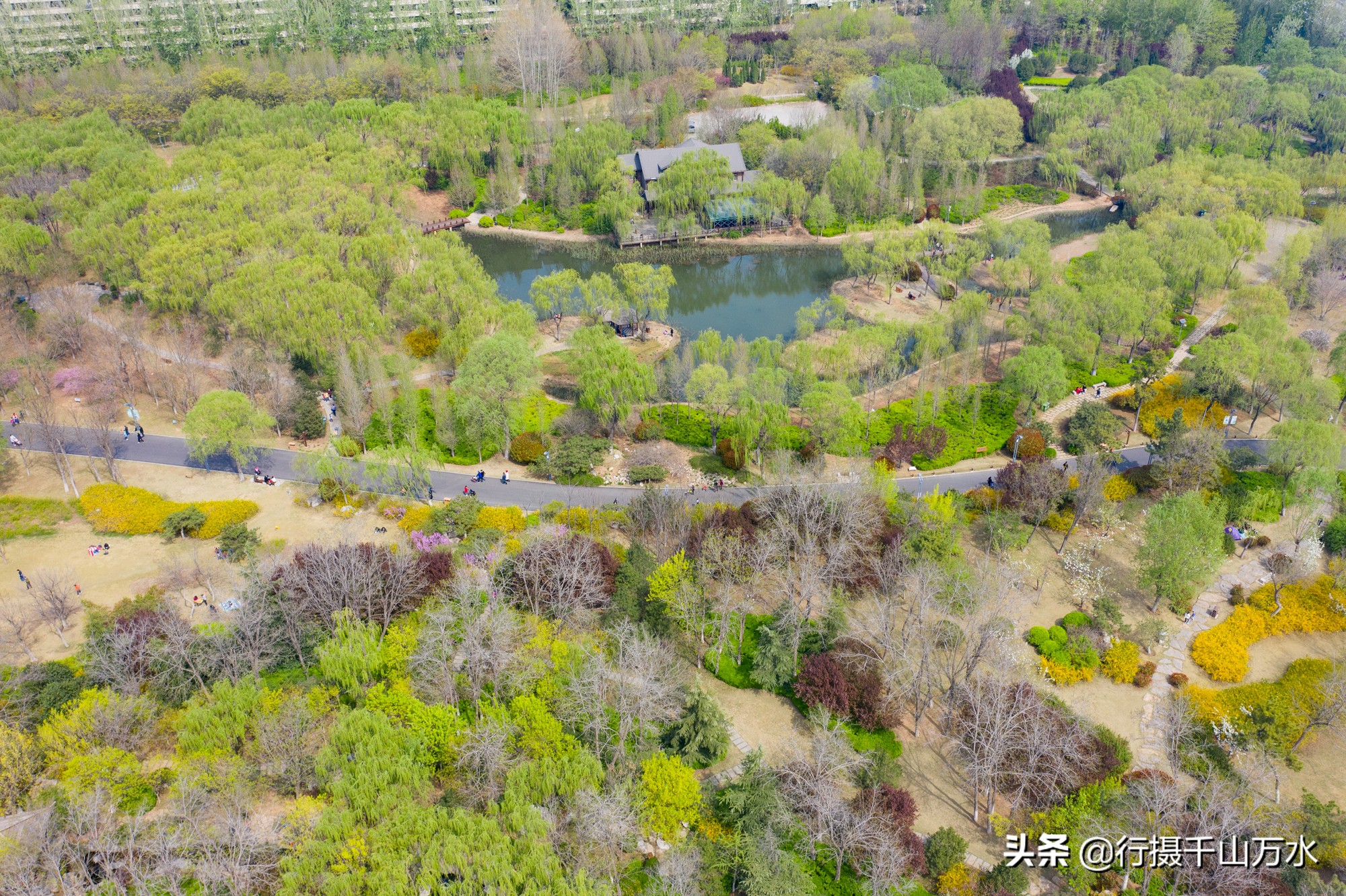 济南森林公园色彩斑斓秋意渐浓,济南今年的森林公园风景如画