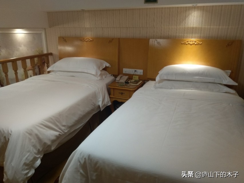 维也纳酒店条件如何,维也纳酒店有几种类型