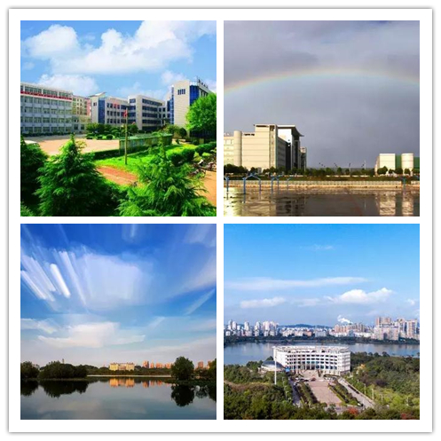 湖北高校在全国实力能排第几,湖北美术生捡漏的公办大学