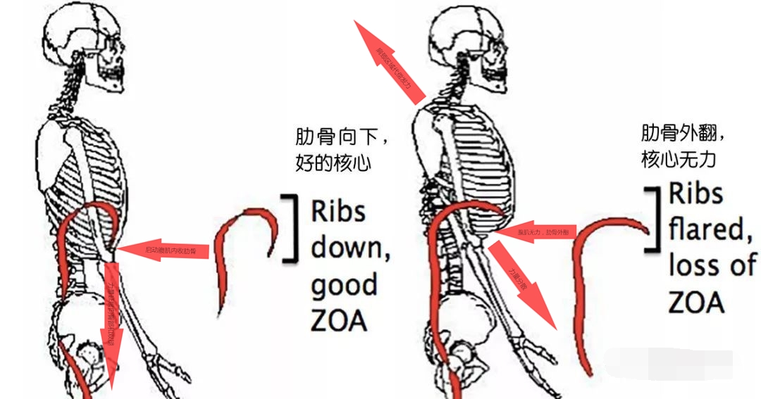 瑜伽练了一个星期越来越累,练习瑜伽手臂越来越粗怎么回事