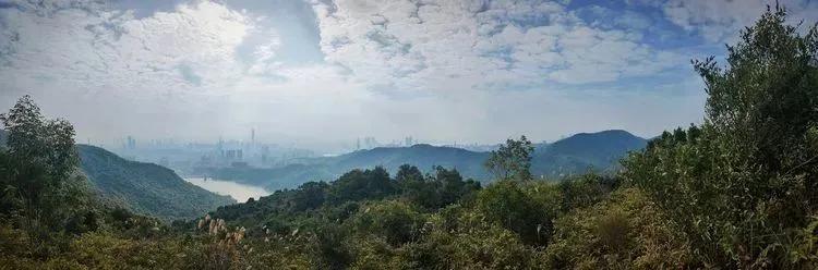 深圳首条手作“原始登山道”，人少好爬景色超美…过年去哪不用愁
