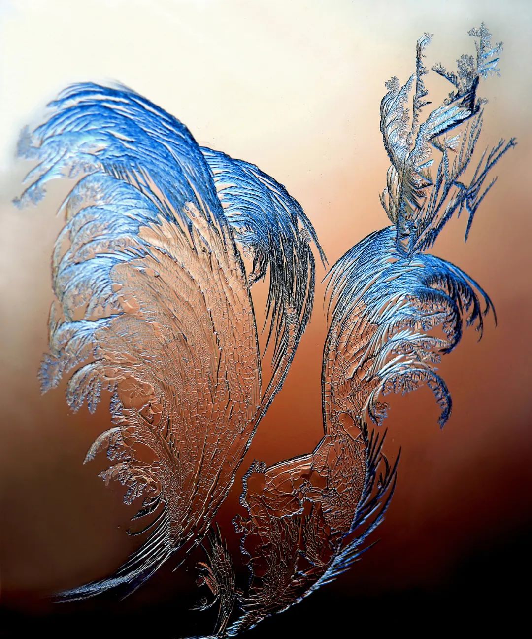 香港第14届全国摄影艺术展,第29届全国摄影艺术展览获奖名单