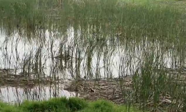 古墓宝藏之谜,墓室之谜完整版