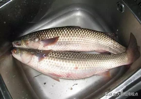 作为潮汕人，这89种海鲜你都能对上号吗