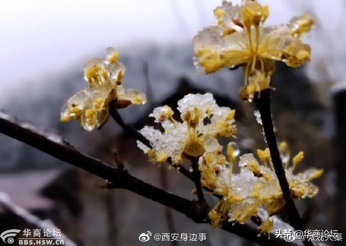平利一女生遭猥亵,陕西13岁女孩遭姑父骚扰