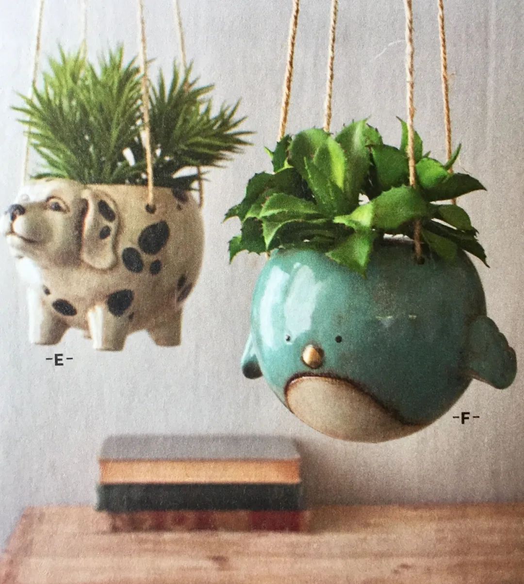 紫砂花盆为啥比红陶花盆还便宜啊,塑料盆什么材质好无毒