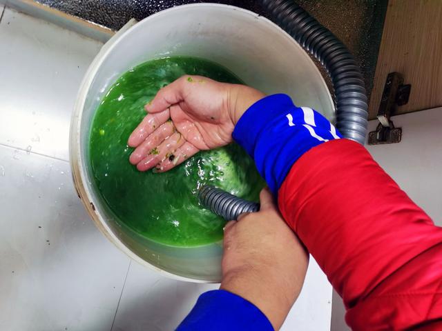 厨余垃圾处理器助你解决厨房垃圾,垃圾处理器要定期清理吗