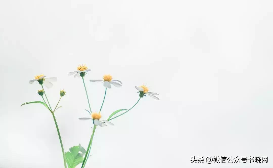 你以为数学只是考数学吗,你以为的理科实际上的理科