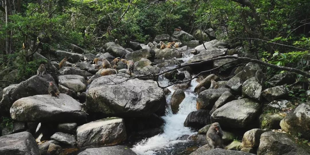 贺州姑婆山景区国家森林公园,贺州姑婆山森林公园路线