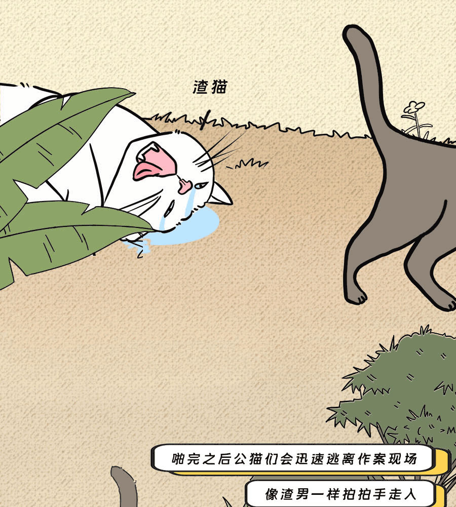 论啪啪啪，人类可比不上它们……