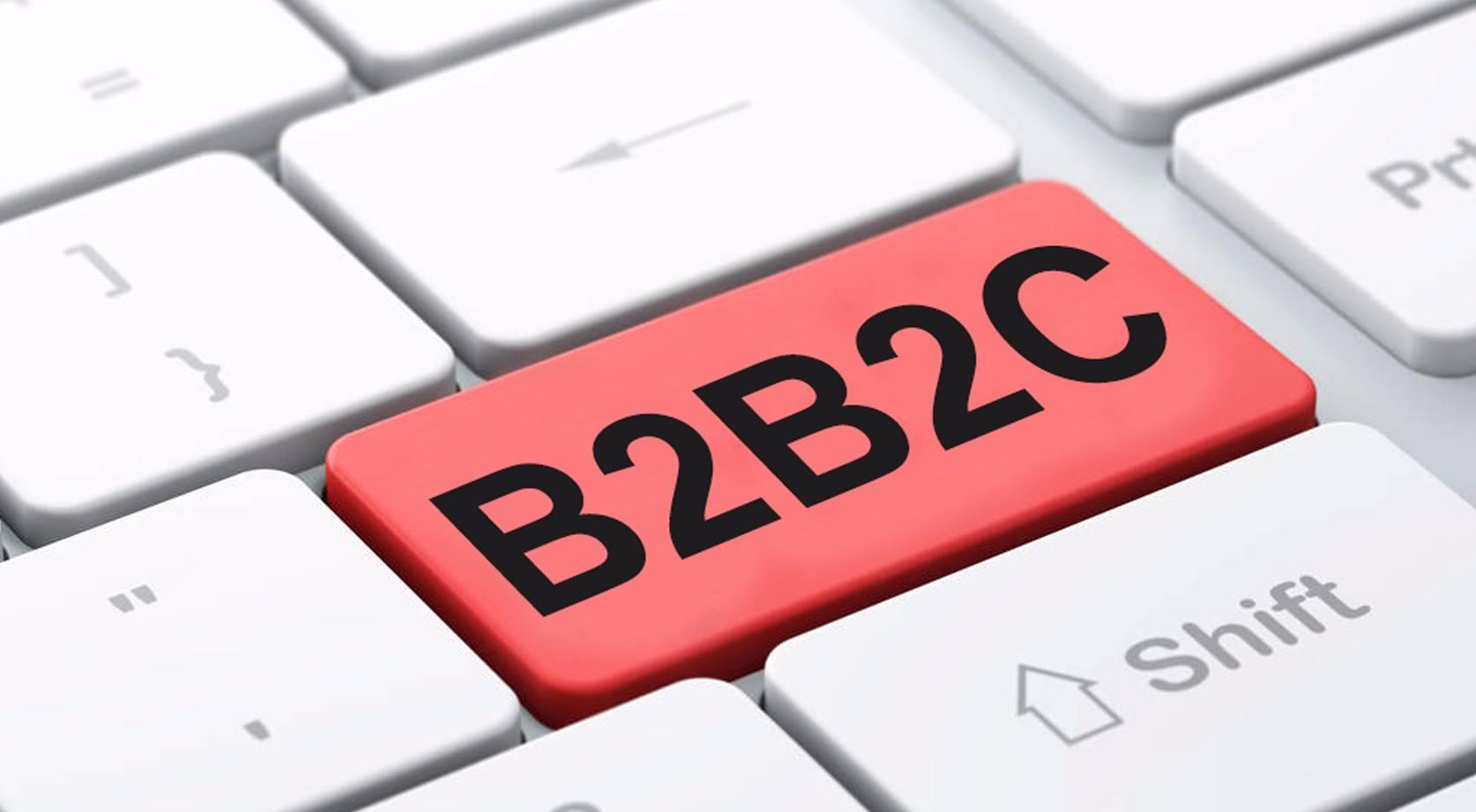 b2b2c平台开发,b2b商城系统搭建