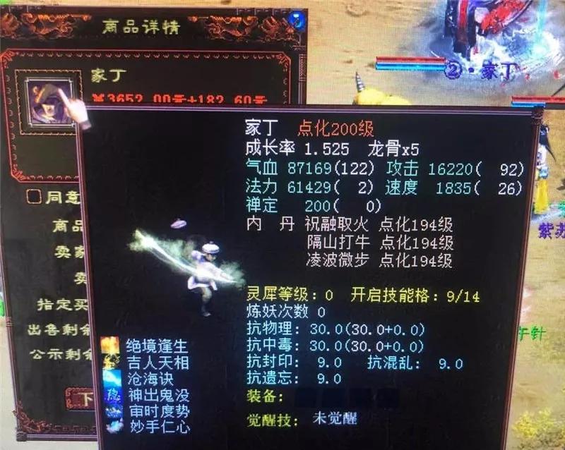 大话西游2各种族最佳护身符,大话西游2护身符七上八下效果