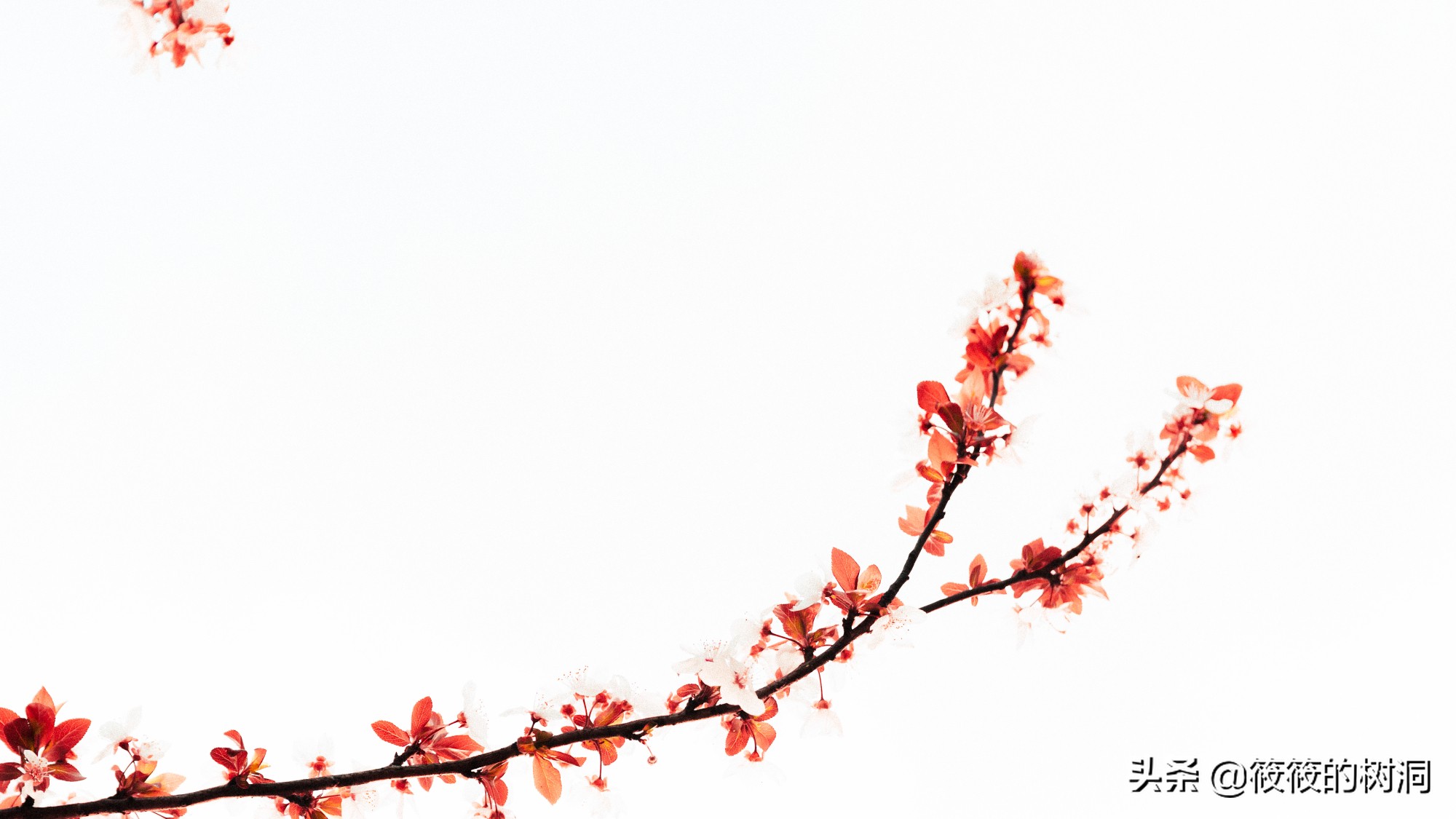 辞职休息半年感悟,工作10年辞职感悟