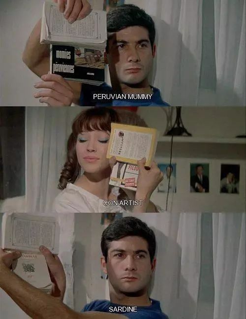 法国新浪潮恋人：他用电影为她书写情书，又用电影同她告别