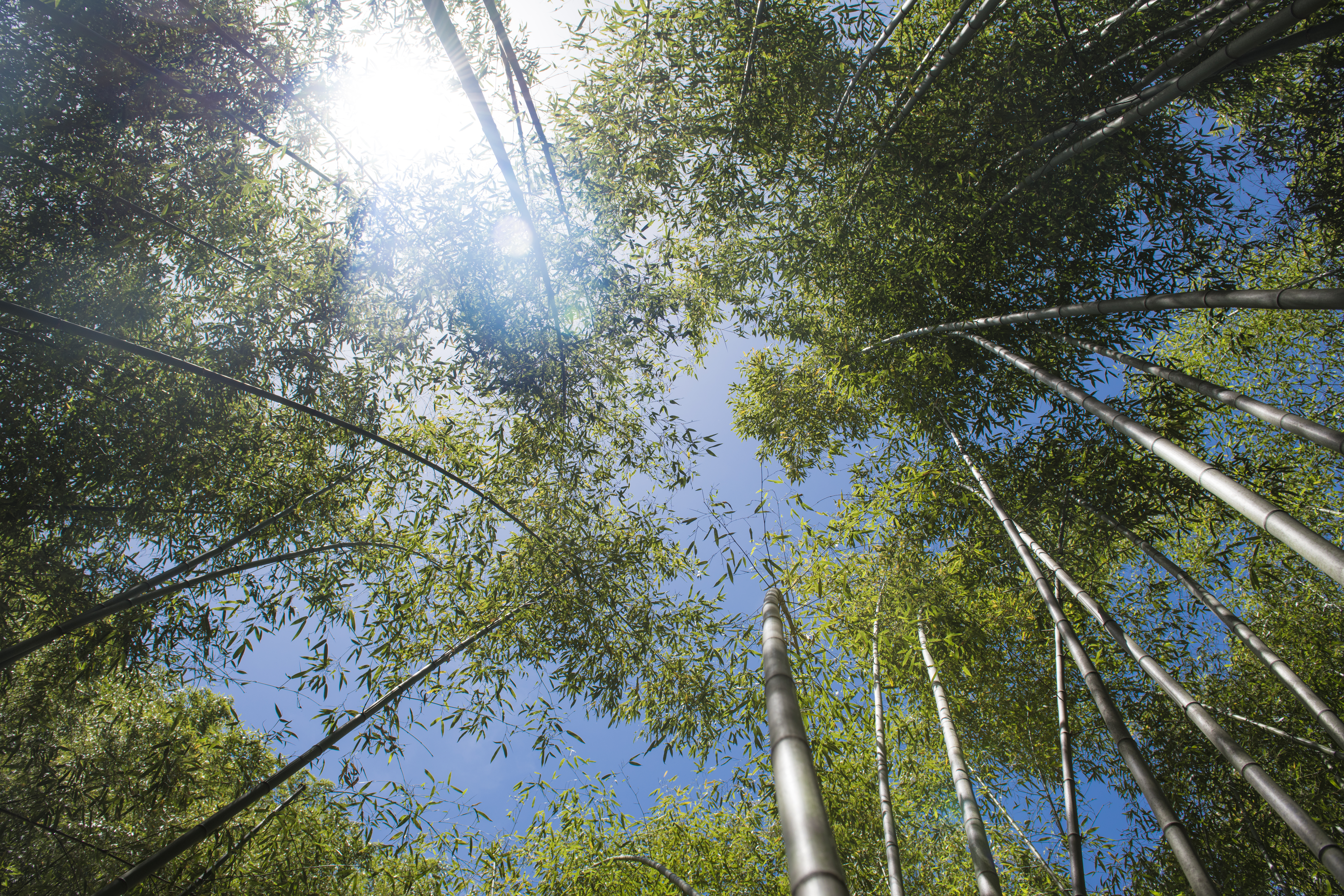 重渡沟走哪个沟好,重渡沟两天一夜最全攻略
