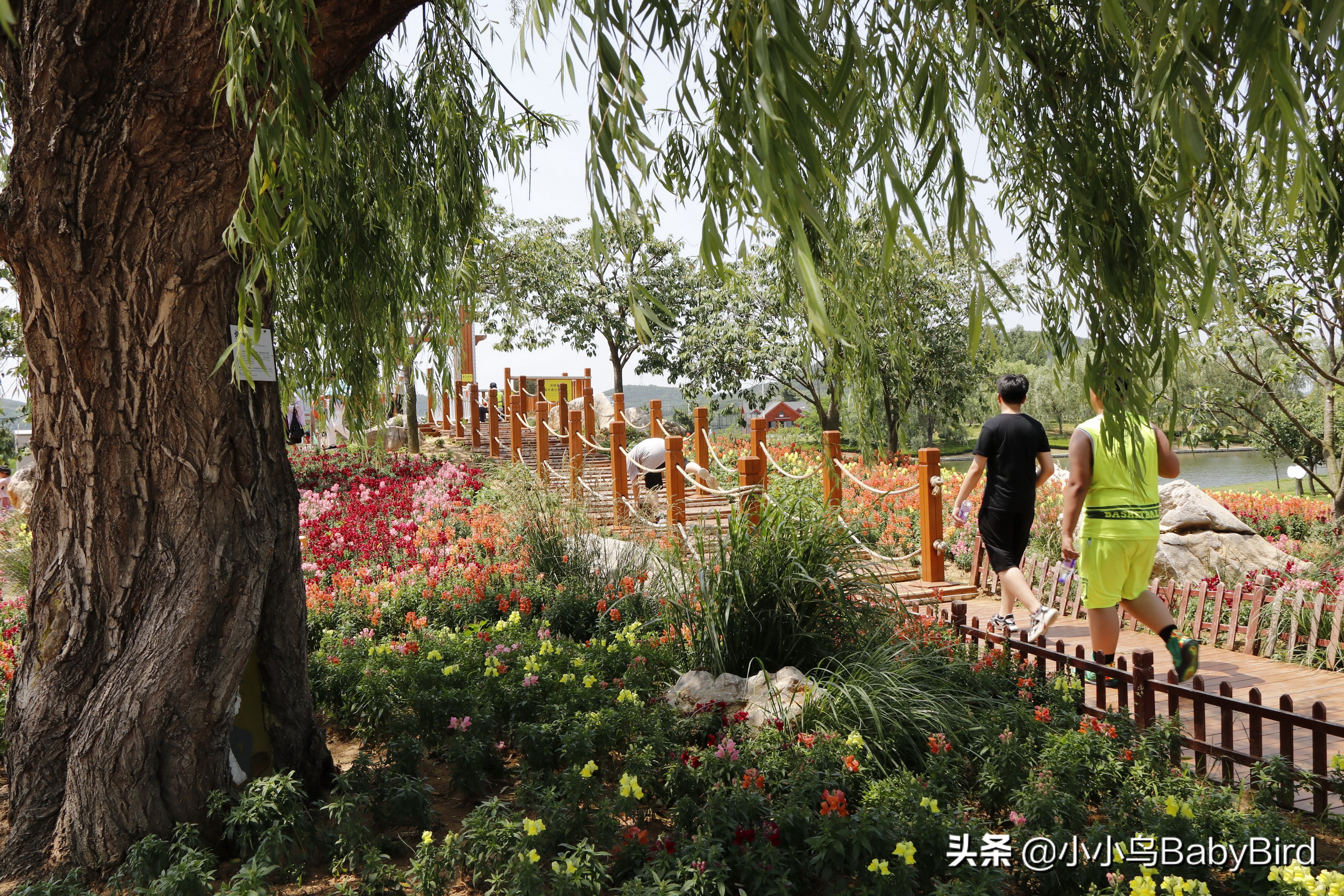 威海羊亭湿地公园,大美河畔