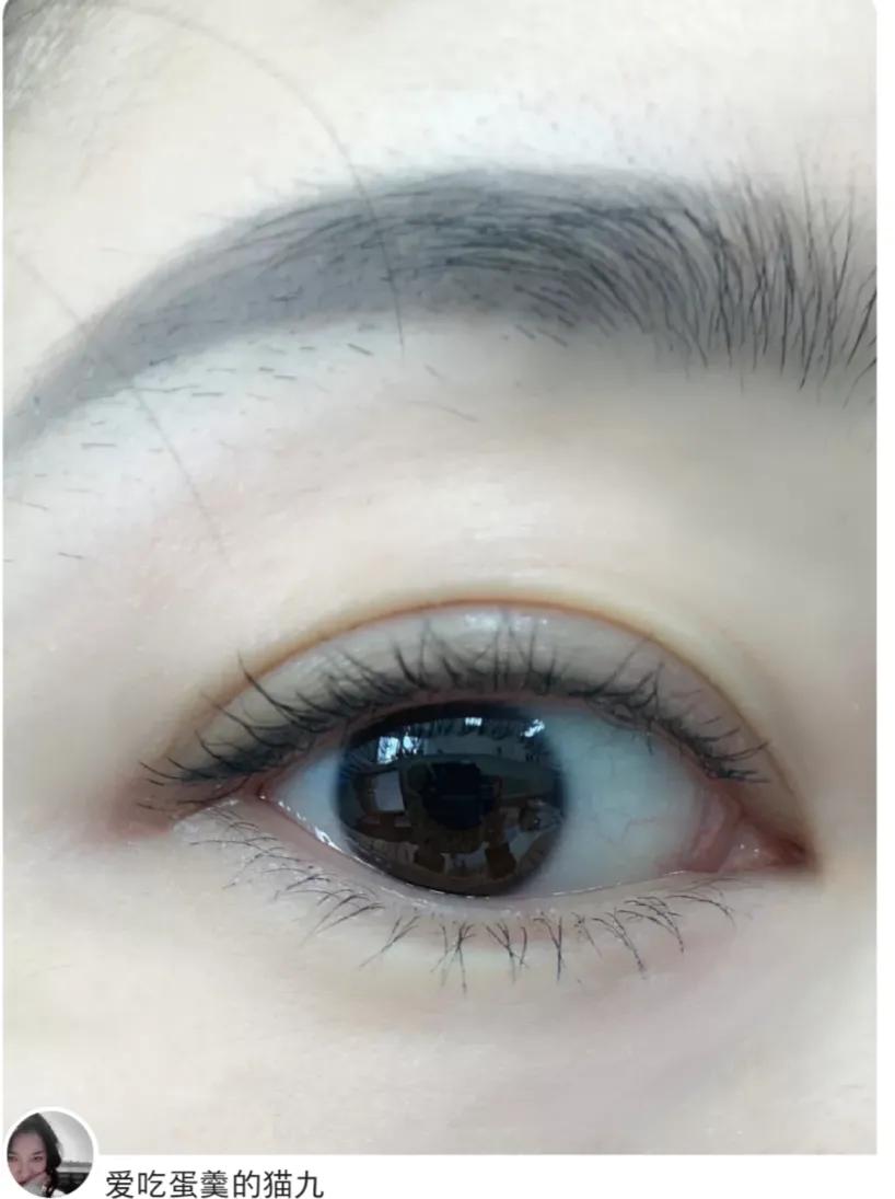 睫毛膏推荐50元左右品牌,初学者平价睫毛膏防水防汗不晕染