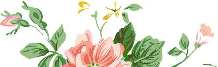 科利华铁北分校从哪年开始招生的,科利华铁北分校很差吗