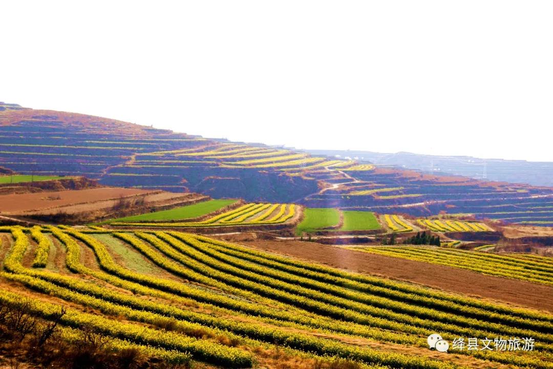 美丽乡村百花开,美丽乡村百花节