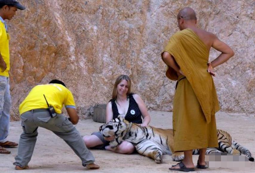 泰国的和尚真的很善良吗,泰国和尚赚钱