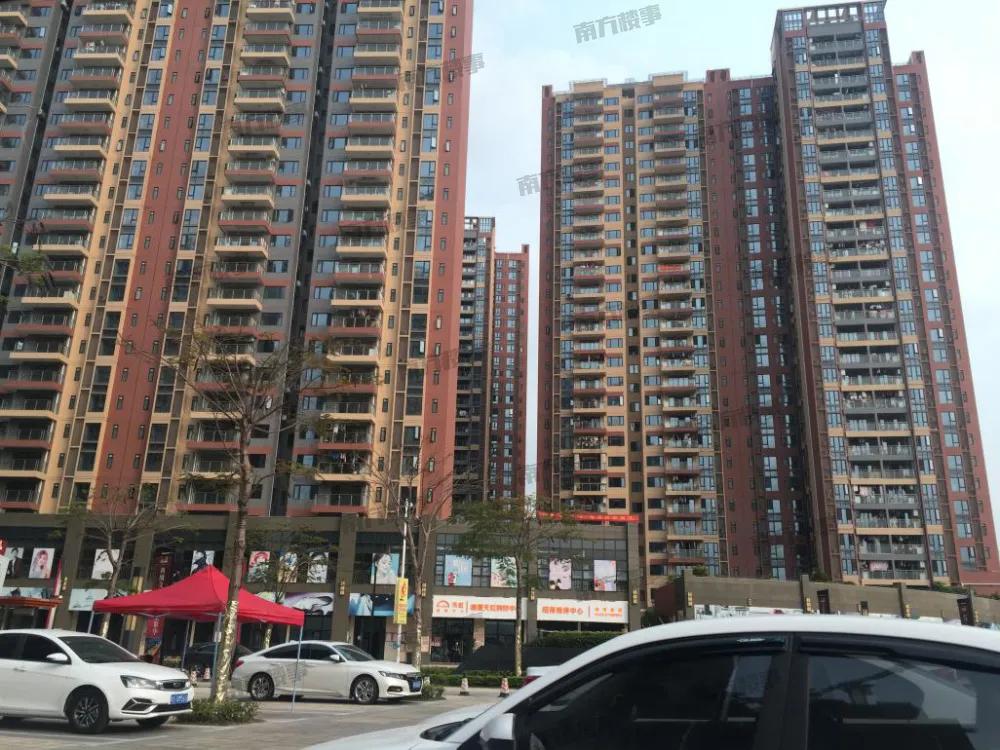 全程暴走！实探疯传的扩容临深区域凤岗+塘厦，到底值不值得买？