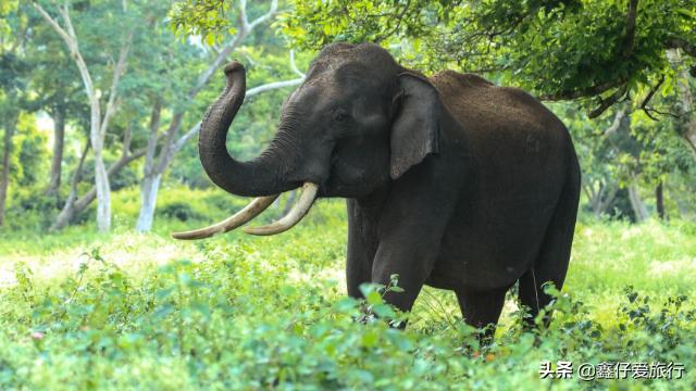 春暖花开带你去看晴空万里,泰国春季旅游