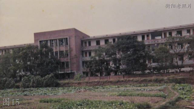 衡阳常宁合江中学图片,衡阳常宁老照片